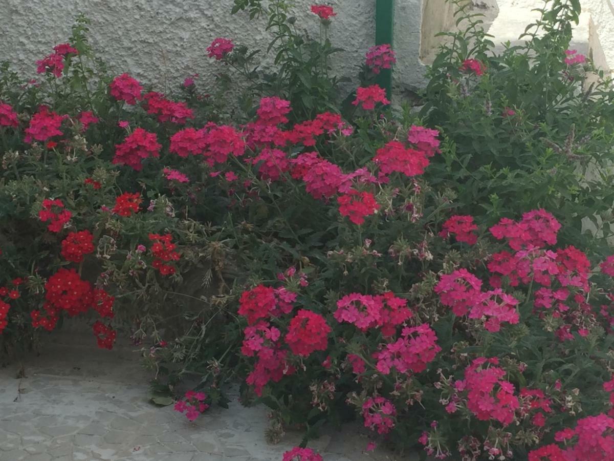 Casa Sul Mare - Wifi Free - Parcheggio Privato Apartment San Foca Exterior photo